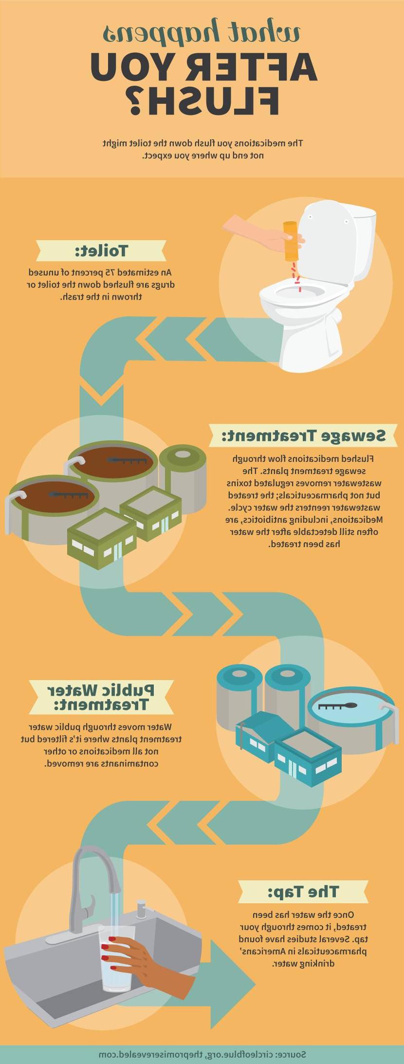 Flowchart showing what happens to prescription medications after they are flushed and enter the water